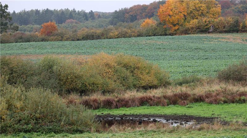 Obduktion: Totes Kind wurde Opfer von Gewaltverbrechen Die Suchmaßnahmen im Umfeld der Stelle, an der in der Nähe Güstrows am Dienstag ein toter Junge gefunden wurde, sind abgeschlossen.