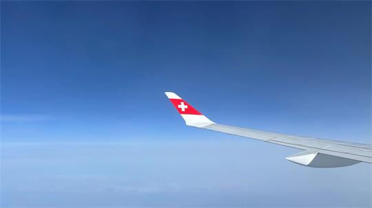 Die Swiss-Piloten sind vom Dienst suspendiert (Symbolbild)