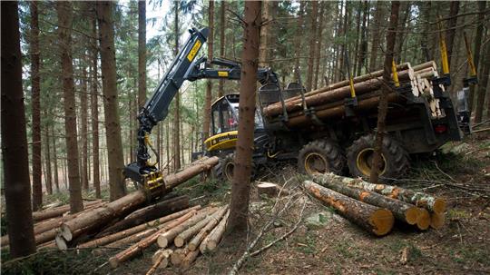 Die Täter entleeren Feuerlöscher in den Führerhäusern der Waldfahrzeugen. (Symbolbild)
