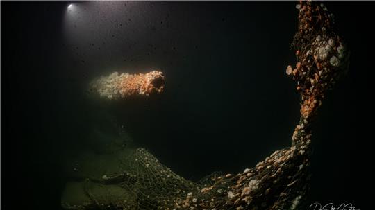 Die Tauchgänge fanden nach Angaben des Teams in großer Tiefe und unter herausfordernden Bedingungen statt.