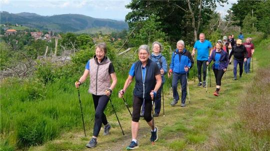 Die Teilnehmerinnen und Teilnehmer genießen bei ihrer jeweiligen Nordic-Walking-Tour rund um St. Andreasberg immer wieder schöne Ausblicke auf die Bergstadt.