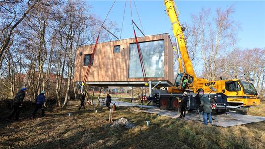 Die Tiny Houses wurden auf dem Festland vorgefertigt.