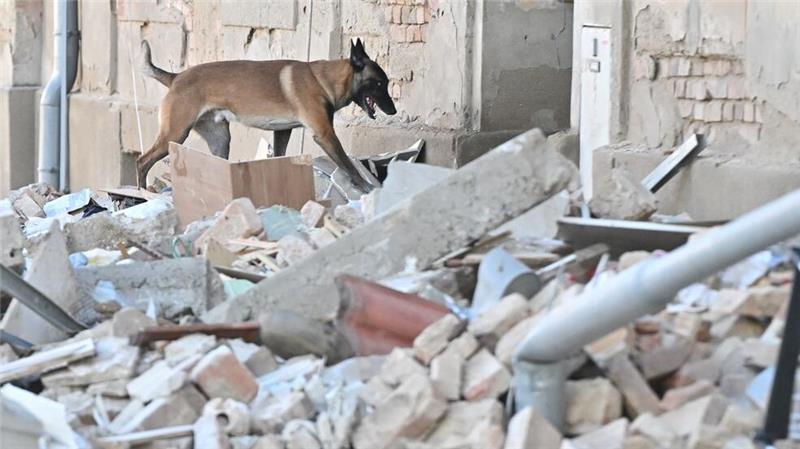 Acht Verletzte nach Explosion in Wohnhaus in Tschechien Die Trümmer wurden mit einem speziell ausgebildeten Spürhund durchsucht.