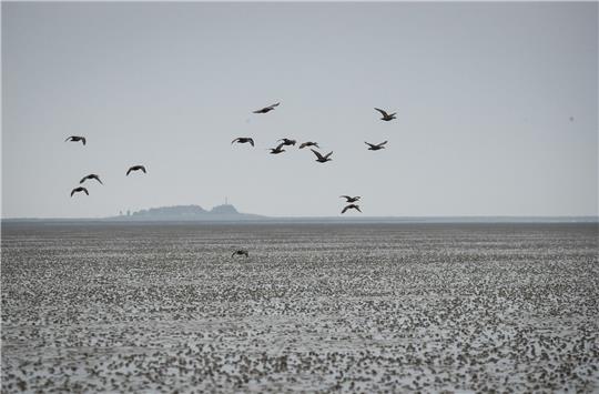 Die UN-Kulturorganisation Unesco warnt vor Öl- und Gasförderung im Welterbe Wattenmeer.