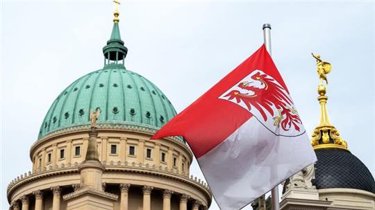 Die Umfrage sieht AfD vor SPD - aber starke Werte für Ministerpräsident Woidke. (Archivbild)