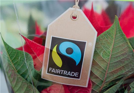 Die Umsätze im Handel mit fair gehandelten Produkten sind im vergangenen Jahr weiter gestiegen.