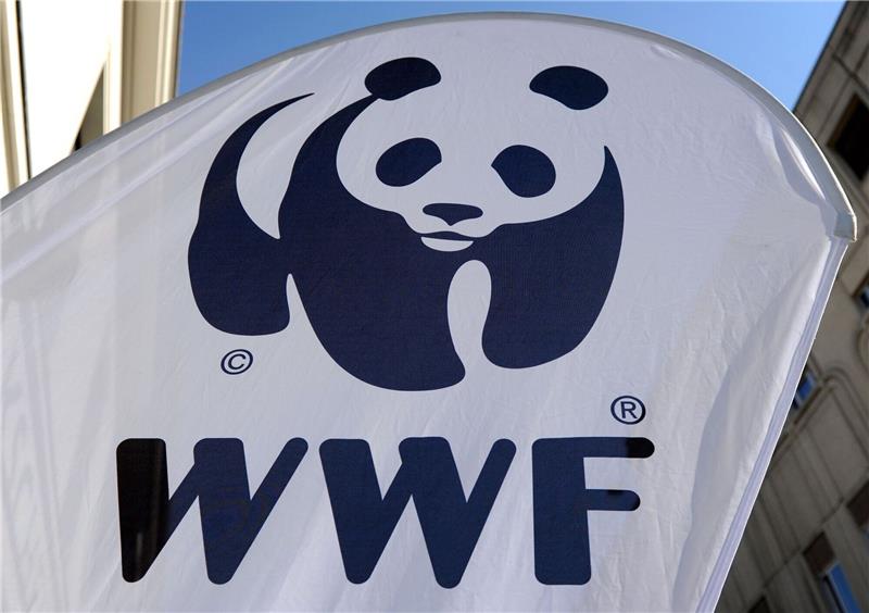 WWF: Hohe Verluste durch illegale Fischerei Die Umweltschutzorganisation WWF alarmiert wegen illegaler Fischerei.