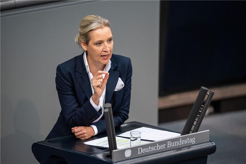 Plagiatsvorwürfe gegen AfD-Chefin Weidel - Universität prüft Die Universität Bayreuth prüft einen Plagiatsverdacht gegen AfD-Chefin Alice Weidel.