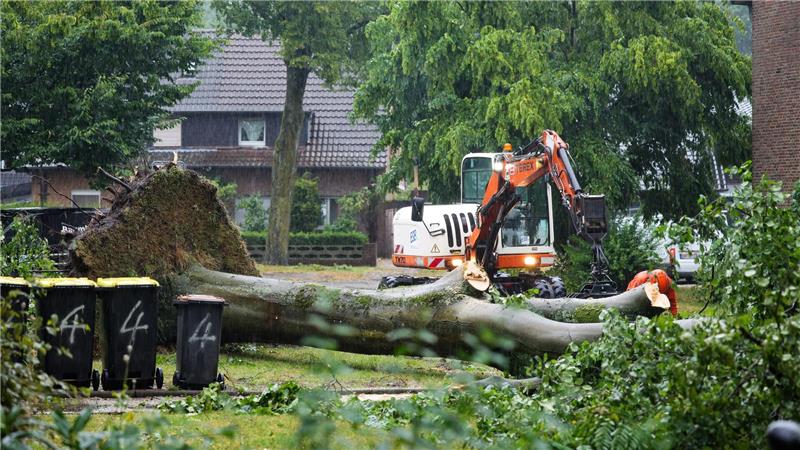 Heißester Tag des Jahres - Unwetter beenden die Hitzewelle Die Unwetter ließen auch große Bäume umstürzen.