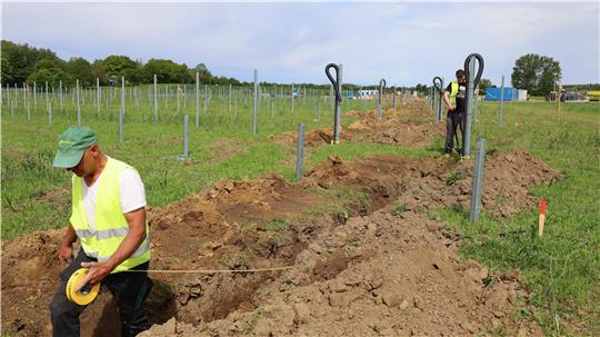 Zwei Männer in Warnwesten arbeiten auf einem Feld mit frisch ausgehobenen Gräben und Metallpfosten