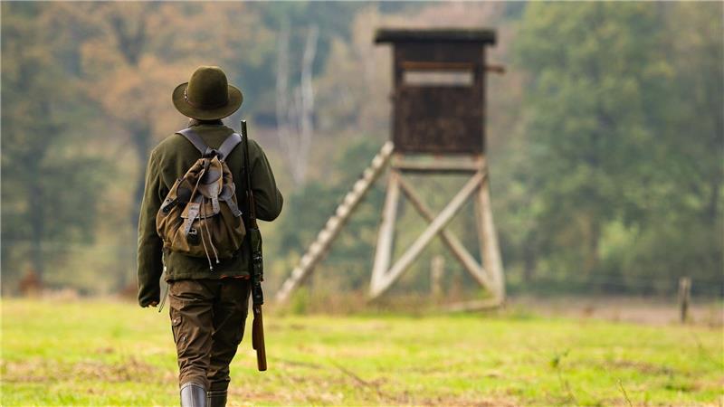 Die Vorgaben für die Jagd in Niedersachsen sollen in vielen Bereichen verändert werden. (Archivbild)