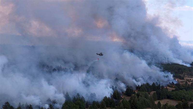 Deutsche Feuerwehrleute bekämpfen Waldbrand in Serbien Die Waldbrände in der Nähe von Belgrad wüten weiterhin sehr stark. (Archivbild)