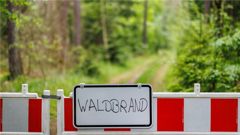 Die Waldbrandgefahr steigt wieder an. (Symbolbild)