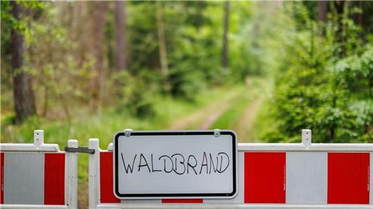 Die Waldbrandgefahr steigt wieder an. (Symbolbild)