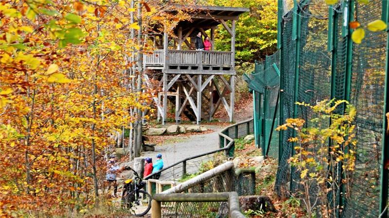 Von Bad Harzburg aus im Wanderschritt die Natur erkunden Die Wandertouren im November führen unter anderem auch zum Luchsgehege an den Rabenklippen.