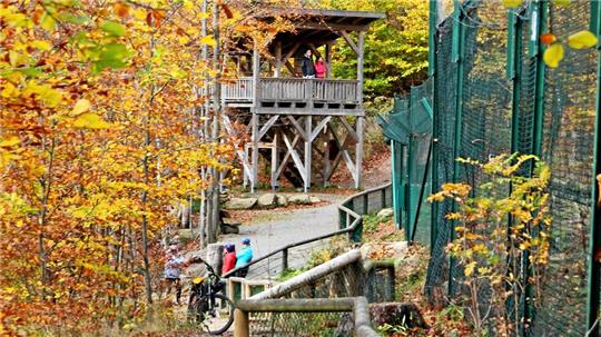 Die Wandertouren im November führen unter anderem auch zum Luchsgehege an den Rabenklippen.