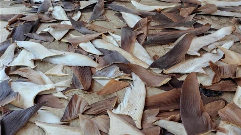 Die Ware gilt als besonders lukrativ.