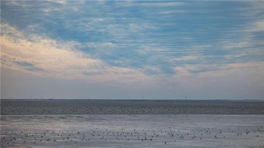 Die Wassertemperatur der Nordsee steigt.