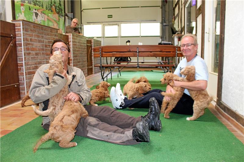 „Die beiden sind eine große Bereicherung“ Die „ Welpen der Liebe“ spielen gerne und ausgiebig mit Klaus Abeler (links) und Uwe Koch. Fotos: Wendt