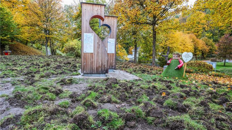 Wildschweine zerstören Kurpark: Letzter Ausweg ist ein Elektrozaun Die Wildschweine haben auch neben den Stationen des Altenauer Herzwegs ganze Arbeit geleistet.