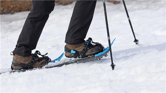 Die Wintersportler waren knapp über 2.000 Meter Seehöhe unterwegs. (Symbolbild)