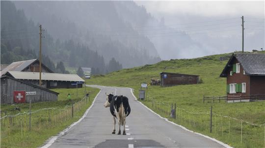 „Die Zahl der Deutschen mit Wohnsitz in der Schweiz steigt seit Jahren kontinuierlich“, berichtete die Statistikbehörde. Binnen zehn Jahren erhöhte sich die Zahl der Deutschen in der Schweiz um 10,7 Prozent. (Archivfoto)