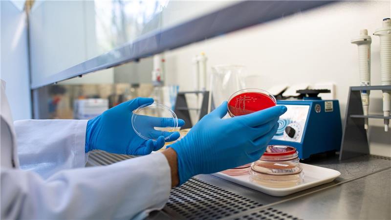 Zahl der Ehec-Infektionen in MV steigt - Einsatz in Kita Die Zahl der registrierten Ehec-Infektionen in Mecklenburg-Vorpommern hat sich auf 17 erhöht. (Archivbild)