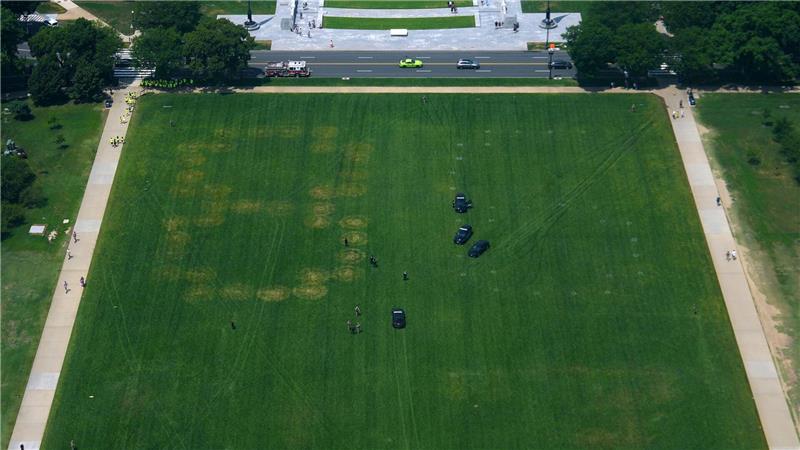 Polizei in Washington untersucht „86 47“-Zeichen im Rasen Die Zahlen „8“ und „7“ sind relativ deutlich im Rasen zu erkennen, während „6“ und „4“ eher verschwommen sind.