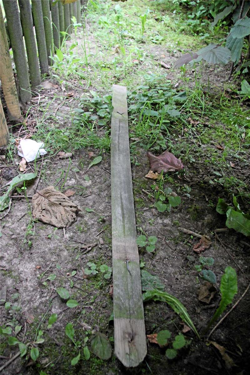 Die Zaunlatte lag am Dienstagmorgen sicher versteckt im Gebüsch.