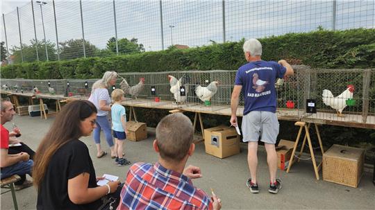 Die Züchter bringen Hühner zahlreicher verschiedener Rassen mit zum Wettbewerb.