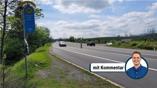 Die Zufahrt zum Wildkatzengehege (rechts) aus Richtung Bad Harzburg gesehen. Hier beginnt die Baustellenabsperrung. Ein neues Schild erlaubt seit Donnerstag über die Mittellinie zu fahren.