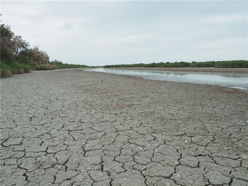 Frankreich: Der Kampf um knappes Wasser beginnt Die anhaltende Trockenheit hinterlässt ihre Spuren - in Frankreich wird das Wasser knapp.