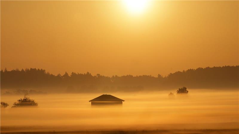 Bilder des Tages Die aufgehende Sonne färbt den Nebel rund um eine Holzscheune in Bad Buchau gelb ein.