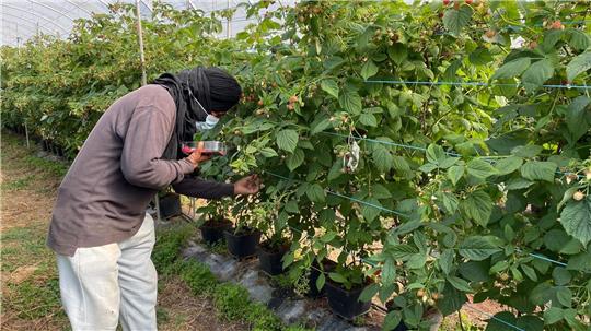 Die befreiten Migranten wurden laut Polizei oft geschlagen. 