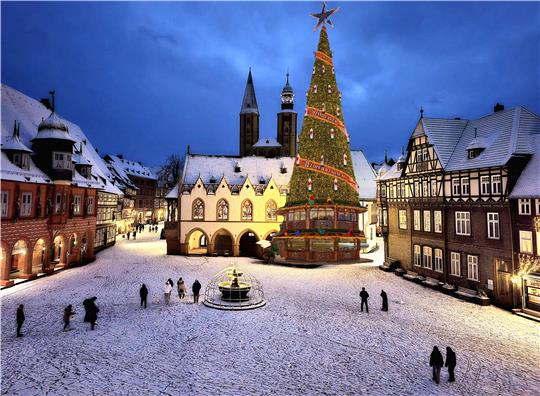 Die begehbare Tanne soll eine Attraktion des Weihnachtsmarktes werden. Es handelt sich um eine Foto-Montage.