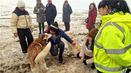 Die beiden Huskys Nanook und Nukka gehen mit den Besuchern auf Kuschelkurs und betteln um Streicheneinheiten.