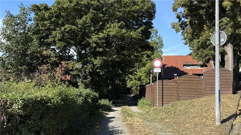 Die Stadt fahndet nach dem Baummörder vom Zickenbockweg Die betroffenen Eichen stehen am Eingang des Weges, der vom Sonnenweg abzweigt.
