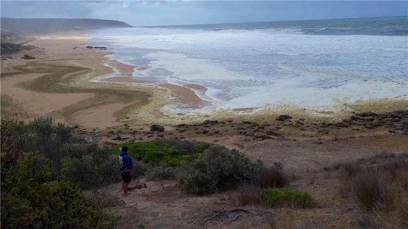 Gelber Schaum und kranke Surfer: Algenblüte in Australien? Die betroffenen Strände wurden zunächst gesperrt.