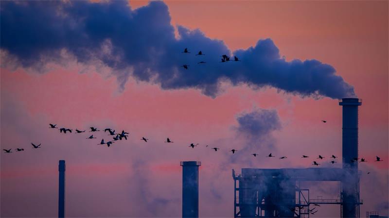 Die deutsche Industrie hat im Juli überraschend viele Aufträge bekommen (Archivbild)