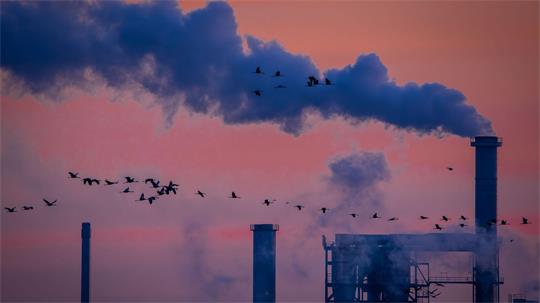 Die deutsche Industrie hat im Juli überraschend viele Aufträge bekommen (Archivbild)