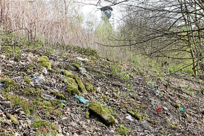 Die ehemalige Hausmülldeponie am Ottiliae-Schacht soll saniert werden. Foto:  GZ-Archiv
