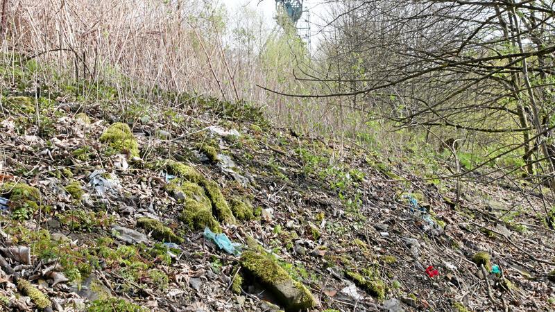 Mülldeponie-Sanierung bei Clausthal-Zellerfeld kostet 350.000 Euro Die ehemalige Hausmülldeponie am Ottiliae-Schacht soll saniert werden.