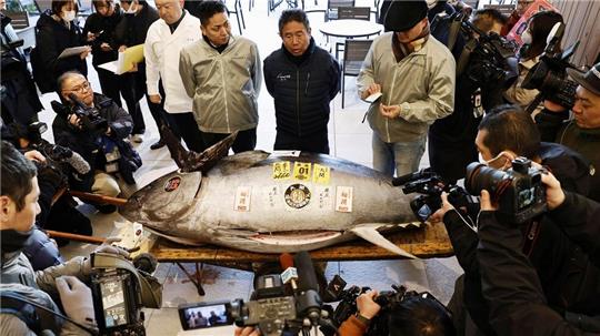Die erste Auktion eines Thunfisches im Neuen Jahr gilt vielen in Japan als Gradmesser für Glück und Wohlstand. 