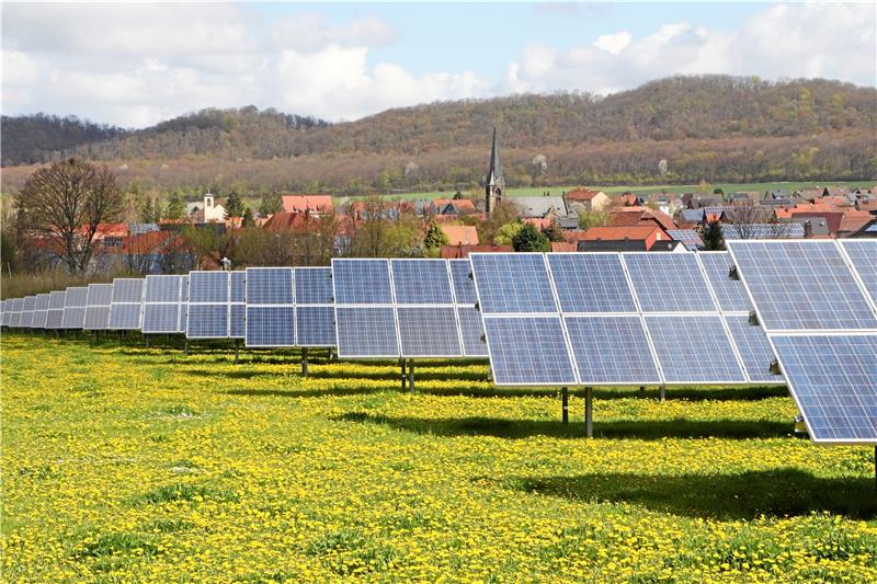 Die erste Photovoltaik-Freiflächenanlage der Gemeinde Liebenburg entstand auch bei Othfresen, befindet sich allerdings im Süden des Dorfes. Der Blick über blühenden Löwenzahn und Solarmodule fällt auf die beiden Kirchen des Ortes. Foto: Gereke