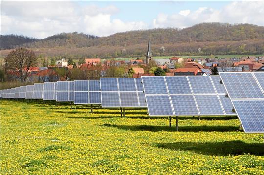 Die erste Photovoltaik-Freiflächenanlage der Gemeinde Liebenburg entstand auch bei Othfresen, befindet sich allerdings im Süden des Dorfes. Der Blick über blühenden Löwenzahn und Solarmodule fällt auf die beiden Kirchen des Ortes. Foto: Gereke