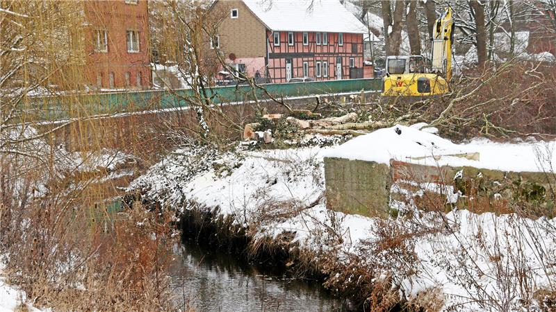 Warum in Neuwallmoden jetzt Bäume für den Hochwasserschutz fallen Baumfällarbeiten an einem Fluss.