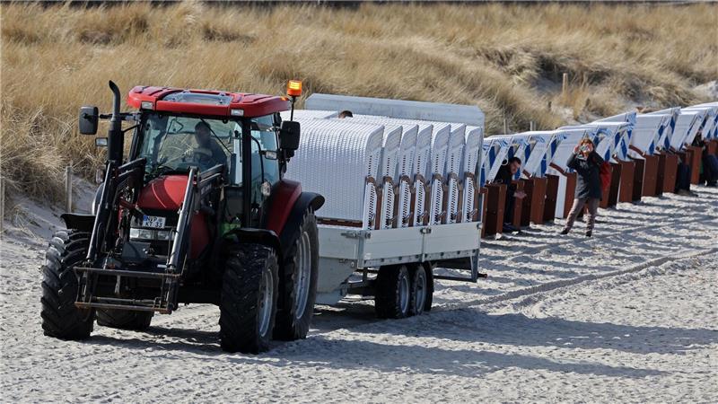 Die ersten Strandkörbe stehen auch am Ostseestrand von Zingst. 