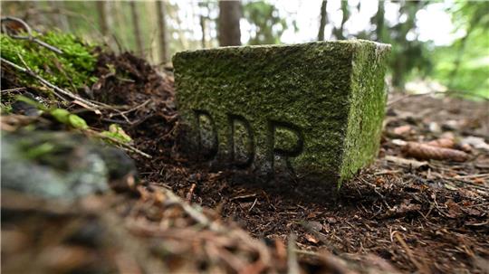 Die frühere deutsch-deutsche Grenze gilt inzwischen als ein Rückzugsort für Tiere und Pflanzen. (Archivbild)