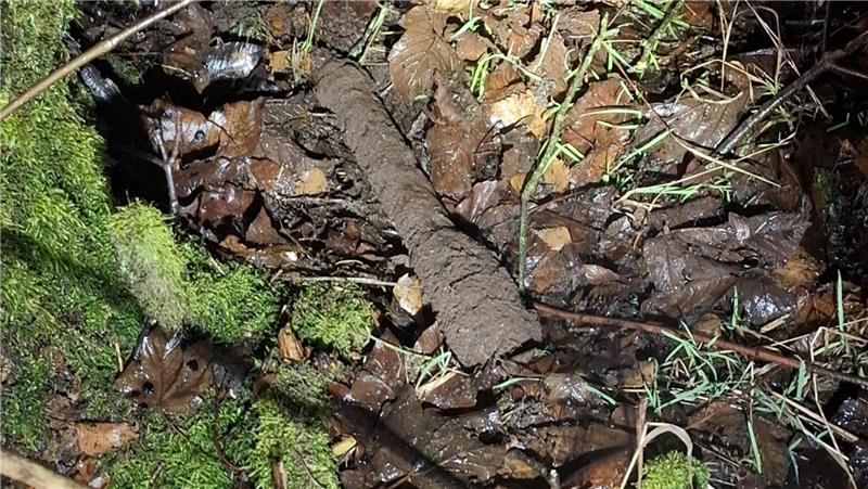 Unfall auf der B4: Pkw wühlt Erdreich auf – Polizei findet Bazooka Das Foto zeigt eine Bazooka aus Weltkriegszeiten.