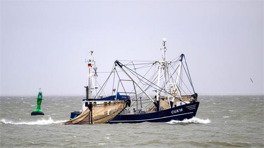 Die gestiegenen Kraftstoffpreise setzen viele Fischer an Nord- und Ostsee unter Druck. (Archivbild)